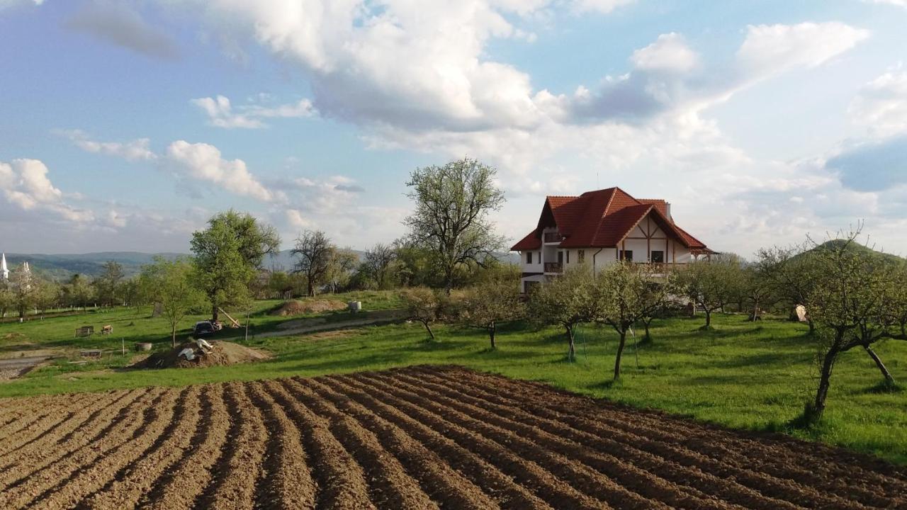 Casa Comilor Bed and Breakfast Surdesti  Exterior foto